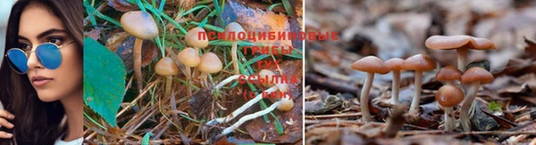 хмурый Верхнеуральск