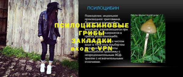 не бодяженный Верея